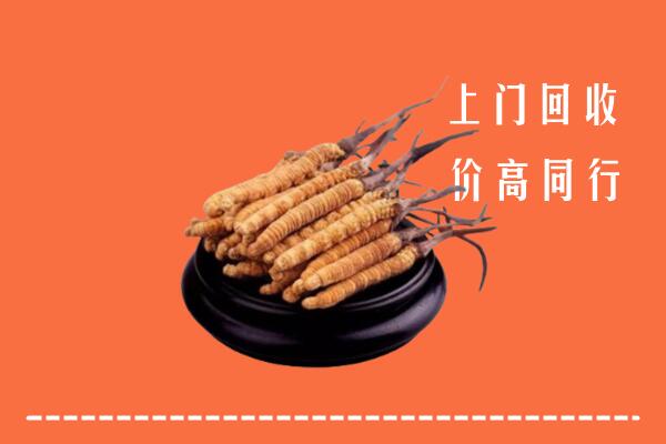 高价求购：玄武区回收散虫草