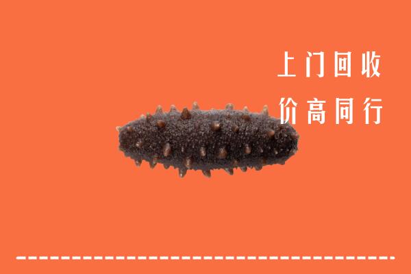 高价求购：玄武区回收海参