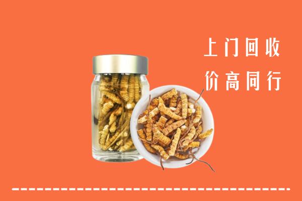 玄武区回收冬虫夏草